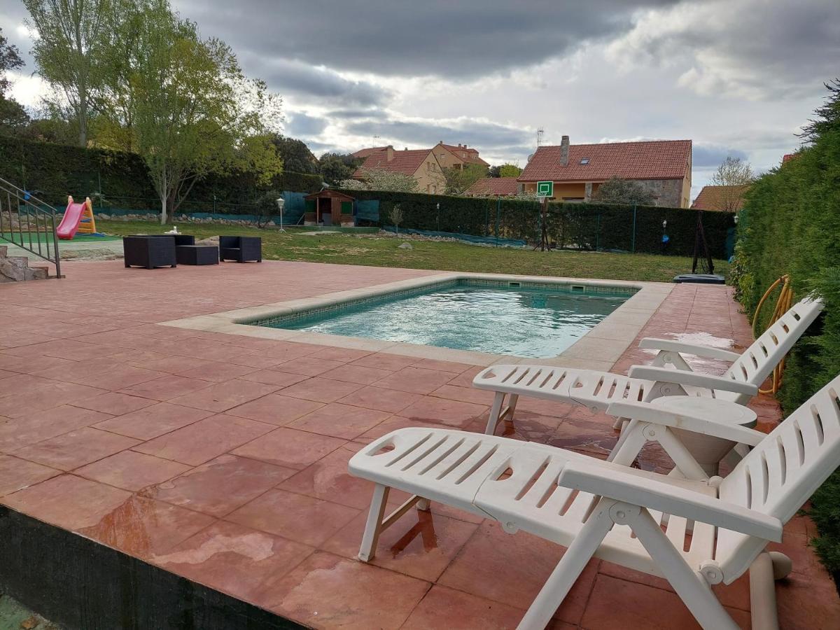 Disfrutar Y Relajarse En El Robledal